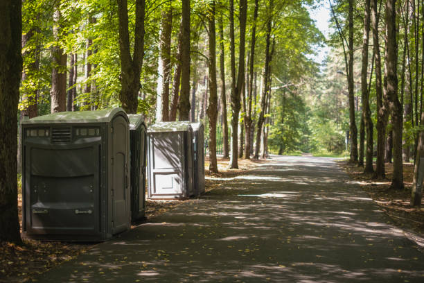Best Affordable portable toilet rental  in Lechee, AZ